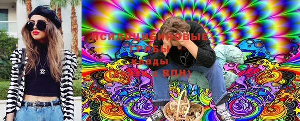 молекула духа Алексеевка