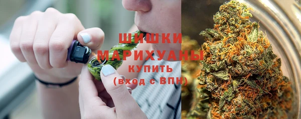 бошки Аркадак