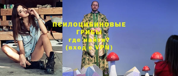 ешки Алзамай