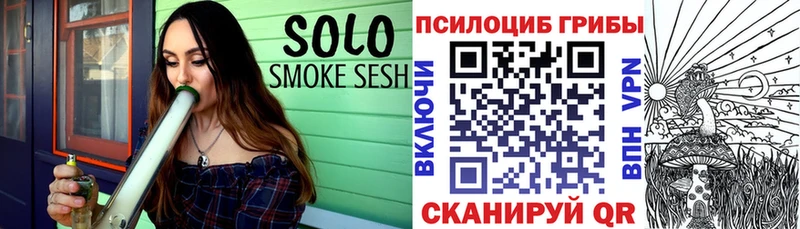 как найти закладки Бобров Галлюциногенные грибы Magic Shrooms